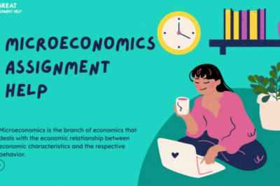 Best Micro Economics Assignment Help by Experts
