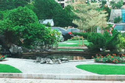 Garden plants