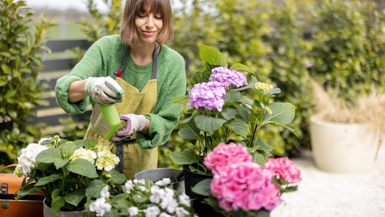 How to take care of flower bouquet?
