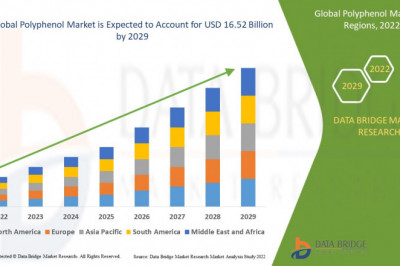 Polyphenol Market Growth Global Health Infrastructure