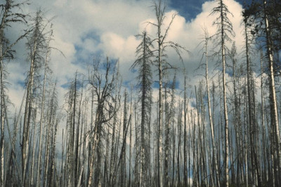 the most common complaints about latest news in greece and why theyre bunk