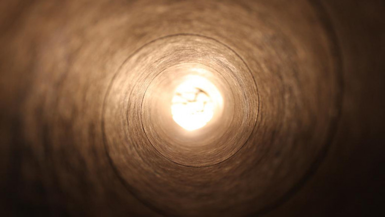 12 companies leading the way in news