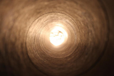 12 companies leading the way in news