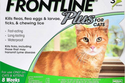 Cheapest Place to Buy Flea And Tick Treatments For Cats | OurPetWarehouse