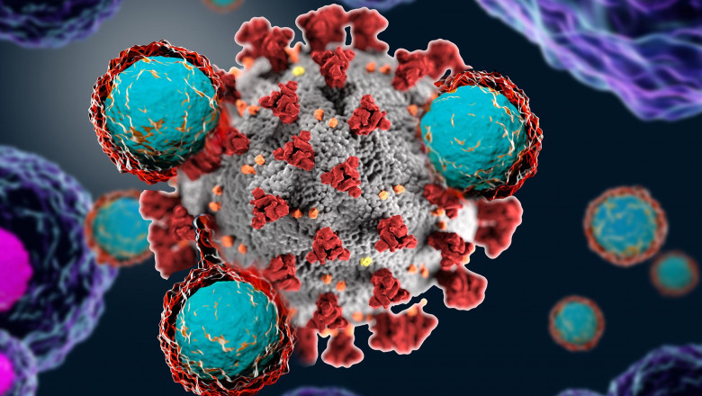 Global Self Assembling Vaccines Market Size, Estimation, Dynamics and Forecast, 2022-2028