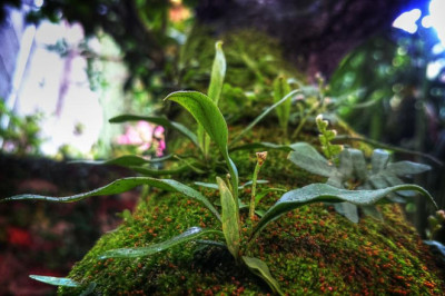 the top causes individuals succeed in the profit singularity review industry