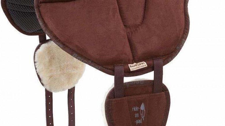 Was sind die wichtigsten Arten von Reitstiefeln?