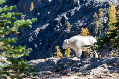 why its easier to succeed with greek sports news than you might think