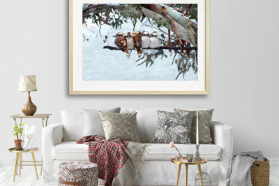 5 Things You Need To Consider While Choosing Photography Art