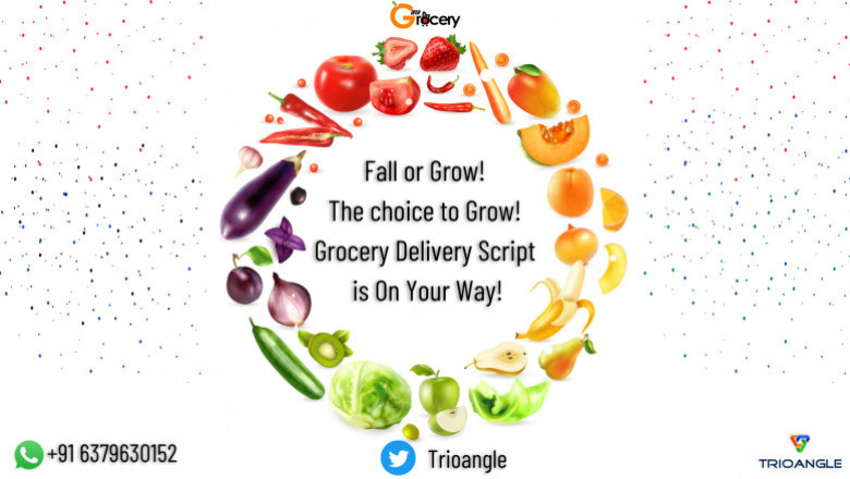 Fall or Grow! The choice to Grow! Grocery Delivery Script is On Your Way!