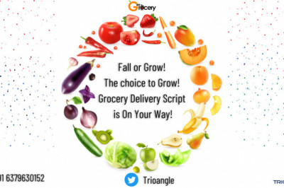 Fall or Grow! The choice to Grow! Grocery Delivery Script is On Your Way!