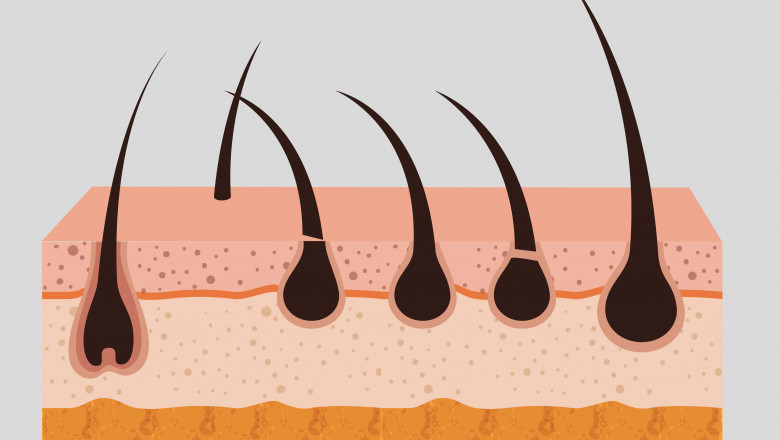 Hair Porosity