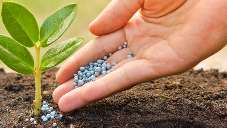 In Biofertilizers, Living Microorganisms Provide Soil With Organic Matter And Nutrients
