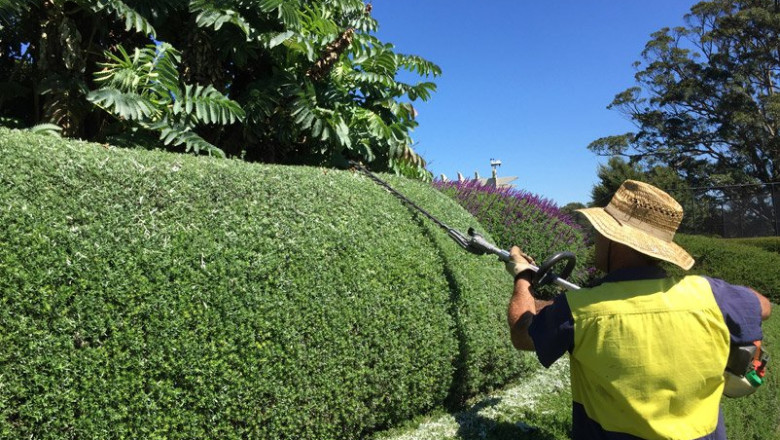 Semms Property Services: An Expert Tree Pruning Service In Bowral