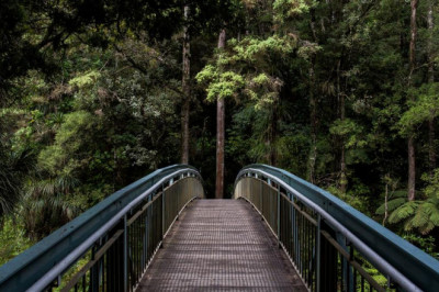 a look into the future what will the olosomes phormes gia baptise industry look like in 10 years