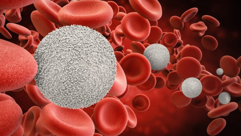 Global Neutropenia Treatment Market Size, Share, Latest Trades and Growth Analysis Report Till 2028