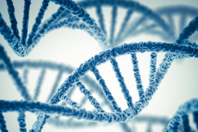 Long Red Sequencing Market Strategic Analysis and Future Scenarios