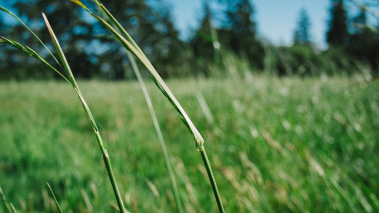 the ascents total overview to mortgages