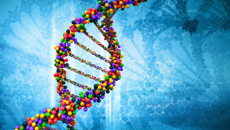 Use of Digital Genome in Increasing Adoption of Personalized Medicine
