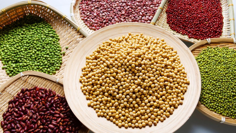 Using an insecticide or fungicide to disinfect seeds from pathogens is part of seed treatment