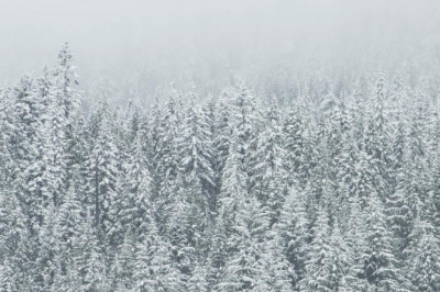 why you should focus on improving olosomes phormes times