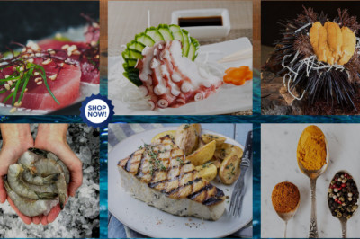 Best buying option for the fresh sea Urchin with high quality product