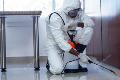 Pest Control Tips for Your Home and Office