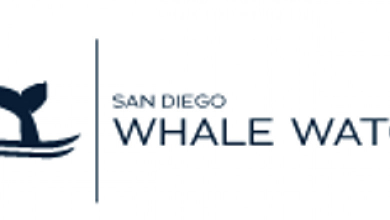 San Diego whale watching tours to explore the whales’ life