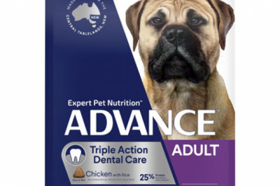 Buy ADVANCE Triple Action Dental Care Large Breed Chicken with Rice Dog Food