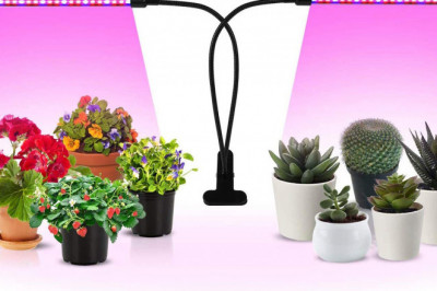 Grow Light Market Size, Key Players Analysis And Forecast To 2028 | Value Market Research