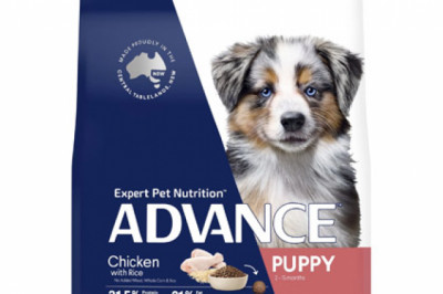 Buy ADVANCE Puppy Medium Breed Chicken with Rice Dog Food Online