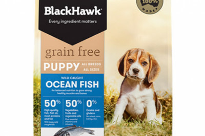 Buy BlackHawk Puppy Grain Free Ocean Fish Dog Food Online