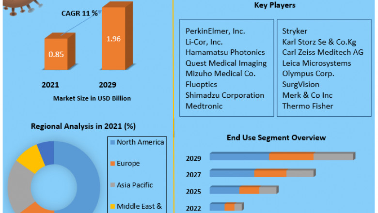 Global Near Infrared Imaging Market Forthcoming Trends & Global Future Forecasts 2029