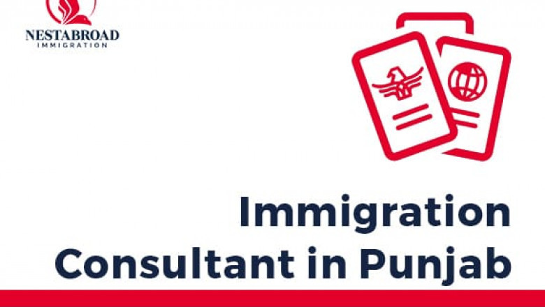 Top 10 best Immigration Consultant in Punjab