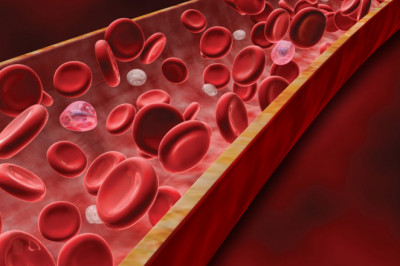 It is the study of blood disorders and related issues that is classified as hematology