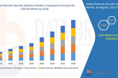 Market Analysis & Insight - Network SEcurity Software Market