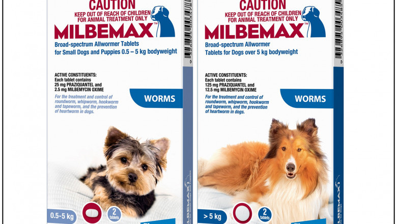 Milbemax Allwormer for Dogs 2 Doses Worm Treatment