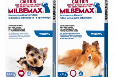 Milbemax Allwormer for Dogs 2 Doses Worm Treatment