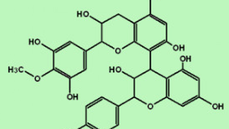 Proanthocyanidins Market Report 2022-2028 | Industry Analysis By Top Key Players