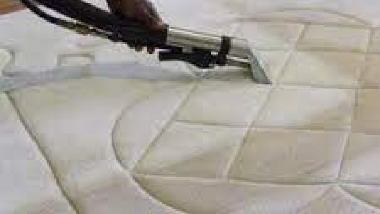 Professional Mattress Cleaning Services Gold Coast | Anchor Mattress Cleaning Gold Coast