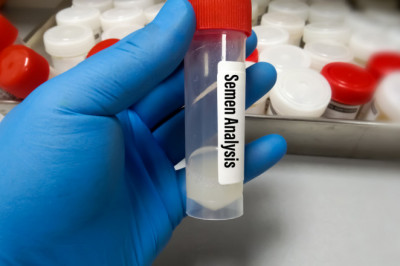 Semen Analysis Market Growth Opportunity and Analysis