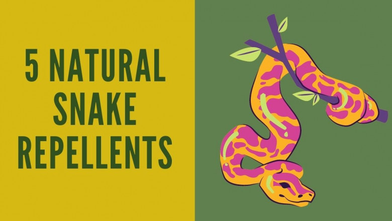 Snake Repellents for your Community