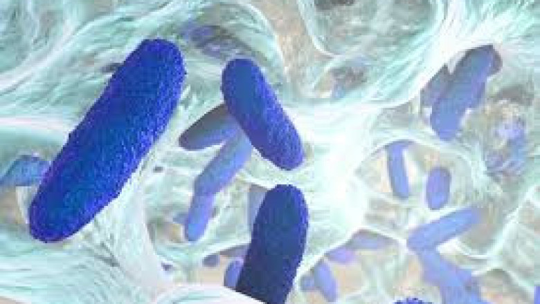 Biofilms Treatment Market Insight | Outlook | Growth Analysis Report 2022-2028