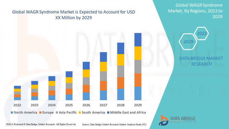 Global WAGR Syndrome Market Size, Scope, Insight, Demand, & Global Industry analysis of 2029