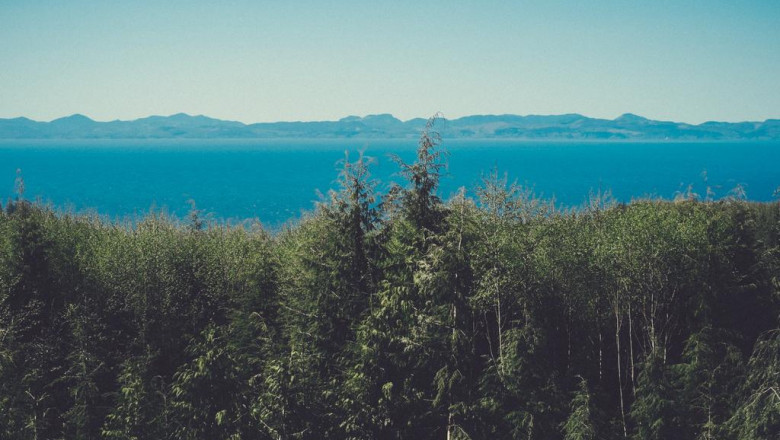 10 best teeth whitening products for safe whitening laser hair removal