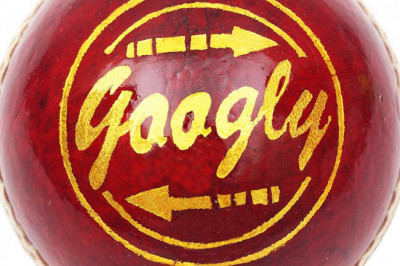 Buy Cricket leather Ball Online at Best Prices