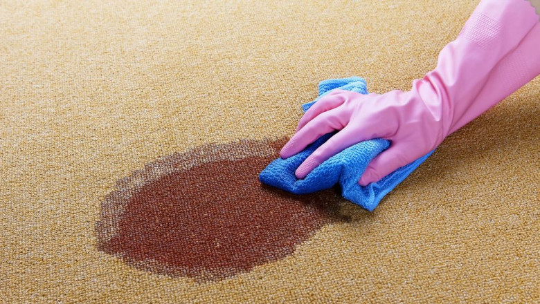 Homemade Carpet Cleaners and Stain Removers | Fortador