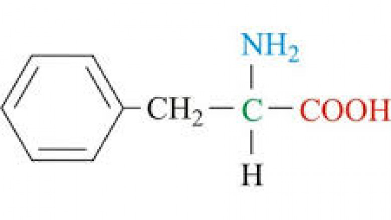 Phenylalanine Market Demand Analysis, Statistics, Industry Trends And Investment Opportunities To 2028