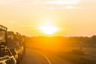 Sharjah Safari Park offers an African experience in the UAE.