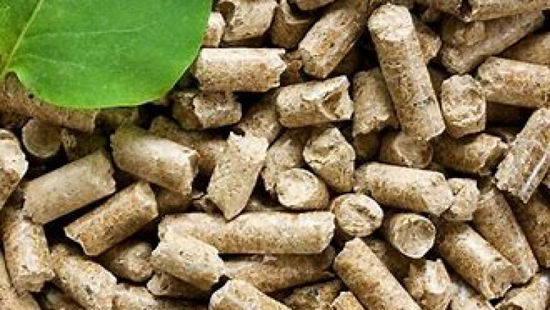 Wood Pellets Market 2022 | Industry Demand, Fastest Growth, Opportunities Analysis and Forecast To 2028
